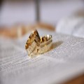 Getting Married 